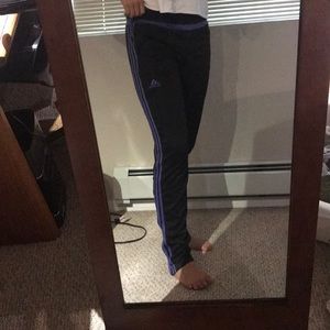 Purple adidas sweats